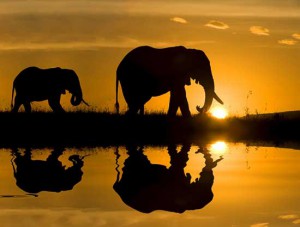 puesta-de-sol-serengeti-tanzania-africa.jpg